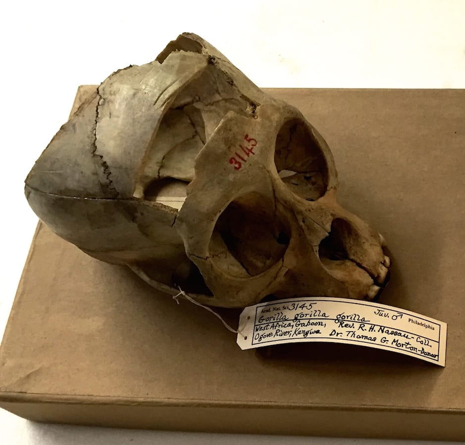 The Clergy and the Academy’s Collections