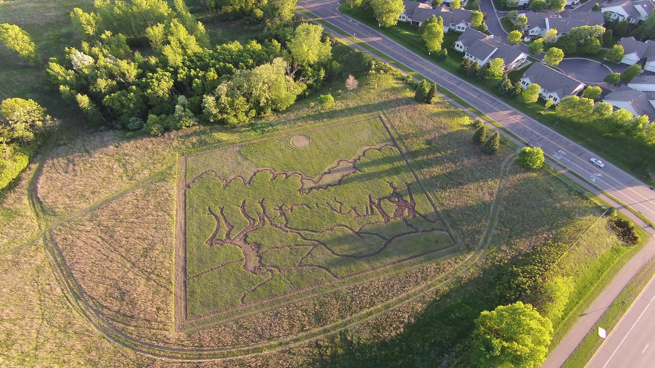 The work in progress