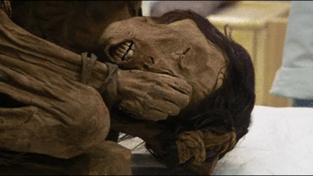 (GIF via @ExploreWellcome/Twitter)