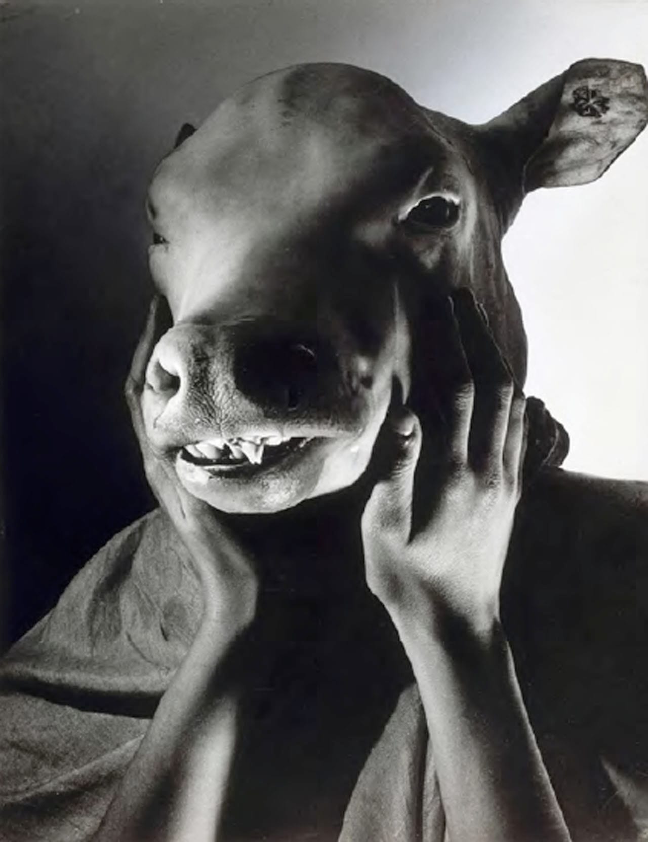 Georges Bataille (1897–1962), photo by Erwin Blumenfeld, "Le dictateur" (1937)