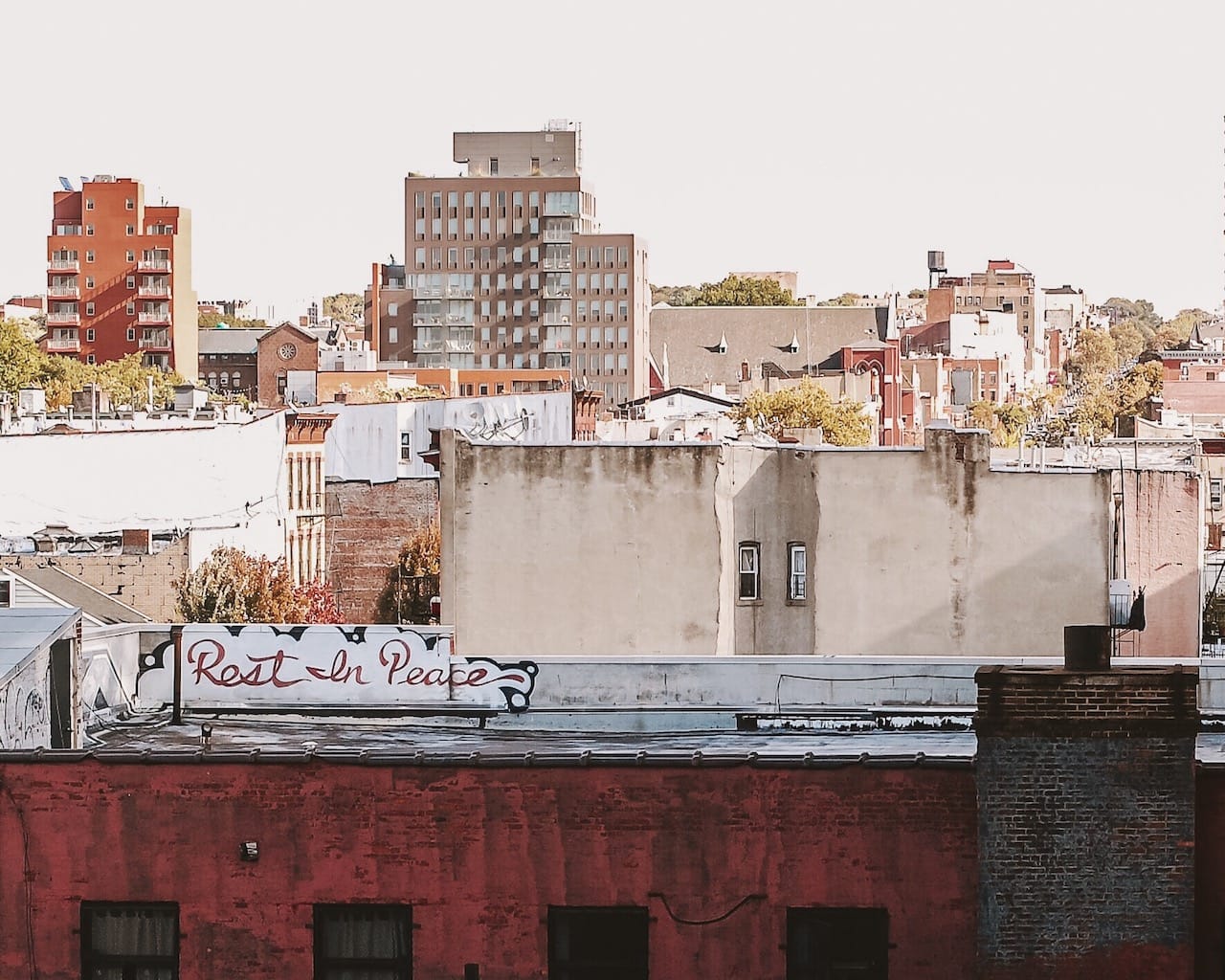 A poignant mural on the roof of a building in Gowanus