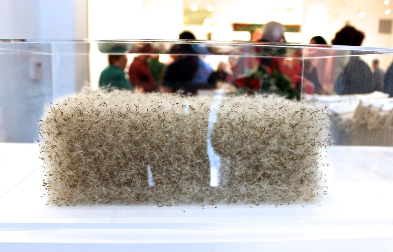 One of Susan Goethell Campbell's pollen sculptures