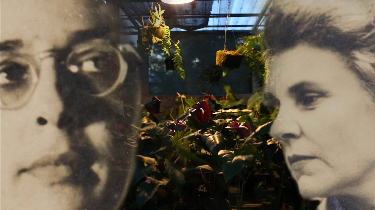 lota-de-macedo-soares and elizabeth-bishop- 1960s-large