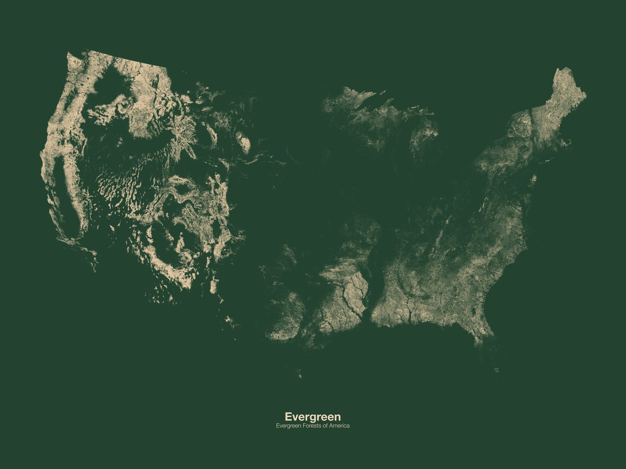 Michael Pecirno, "Minimal Maps – Evergreen" (By Michael Pecirno from 'Mind the Map,' © Gestalten 2015)