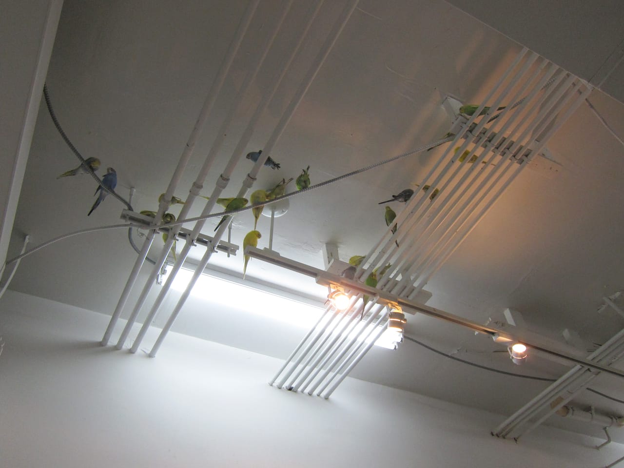 Martin Roth, "untitled (debris)" (2015)