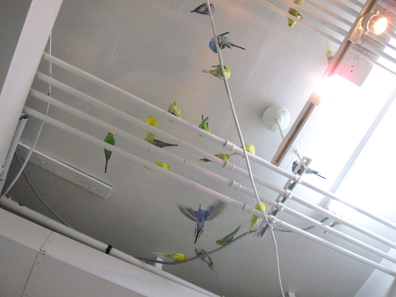 Martin Roth, "untitled (debris)" (2015)