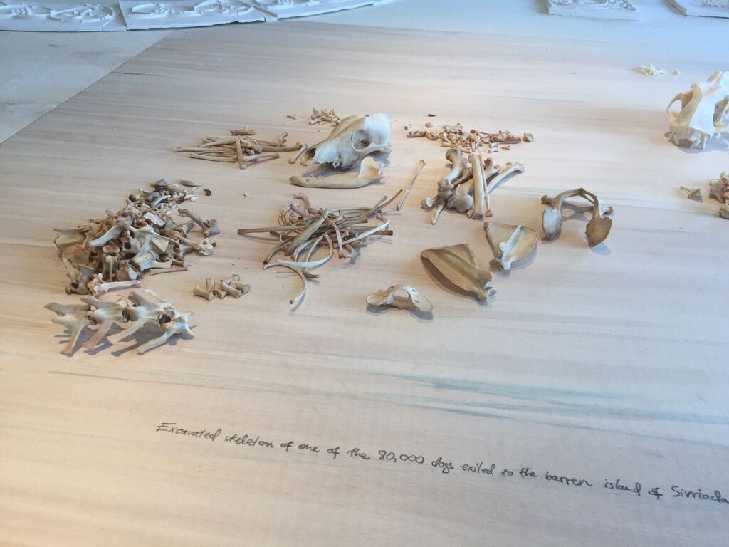 Skeleton of dog from the island of Sivriada in Michael Rakowitz, "The Flesh is Yours, The Bones are Ours" at Galata Greek Primary School