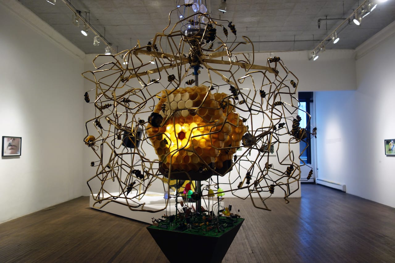 Kelly Heaton: Pollination 