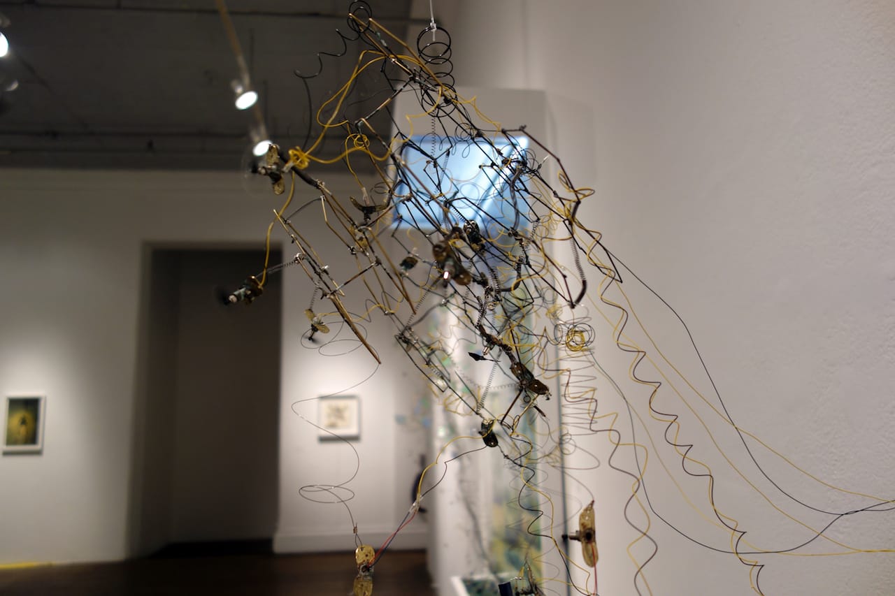 Kelly Heaton: Pollination 