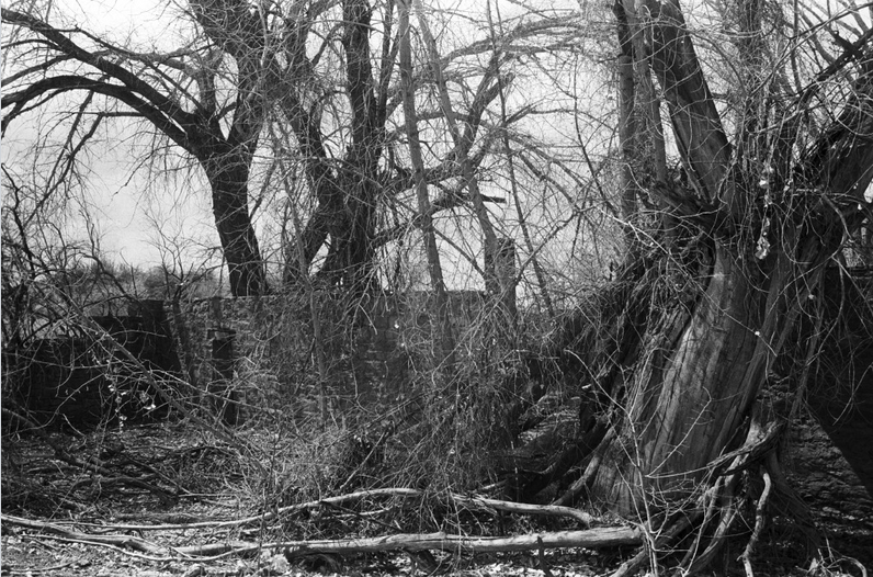 Screen shot 2015-10-12 at 12.23.28 PM