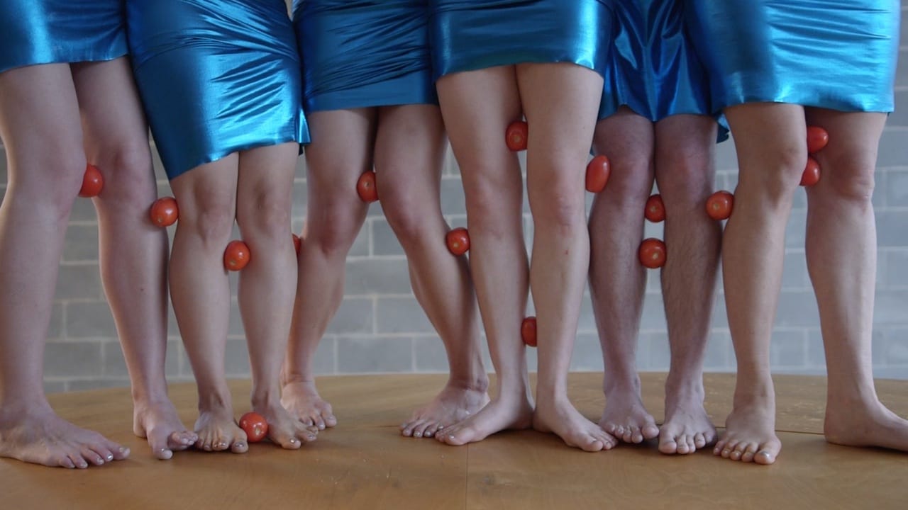 Tamar Ettun, Still from "Mauve Bird" (2015)(all images courtesy of the Fridman Gallery)