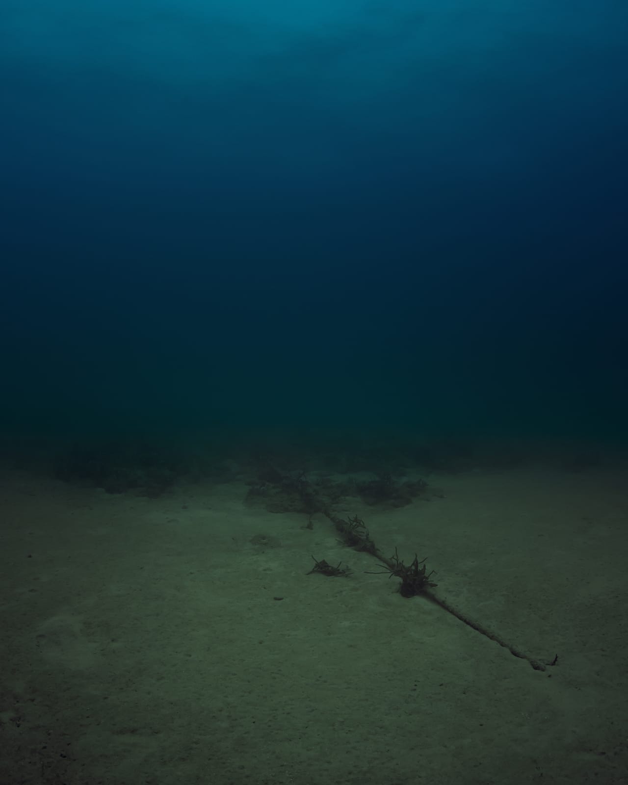 Trevor Paglen, "Bahamas Internet Cable System (BICS-1) NSA/GCHQ-Tapped Undersea Cable Atlantic Ocean" (2015), c-print (click to enlarge)