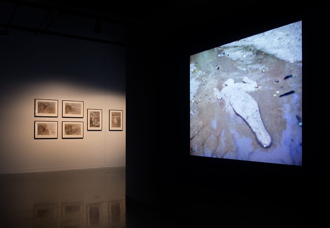 Installation view, 'Covered in Time and History: The Films of Ana Mendieta' at the Katherine E. Nash Gallery