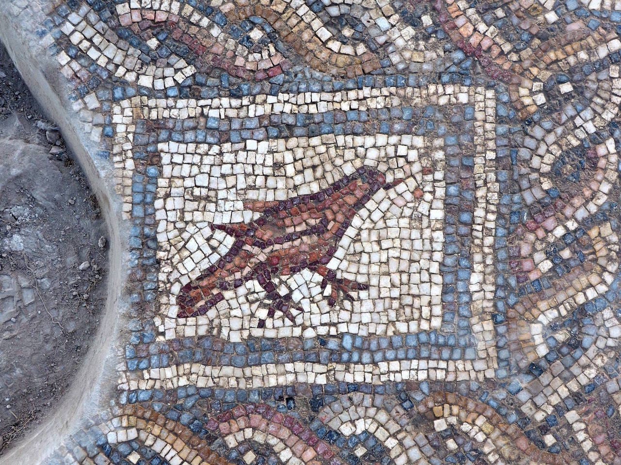 12244483_1039138309442464_9030219983768573285_o