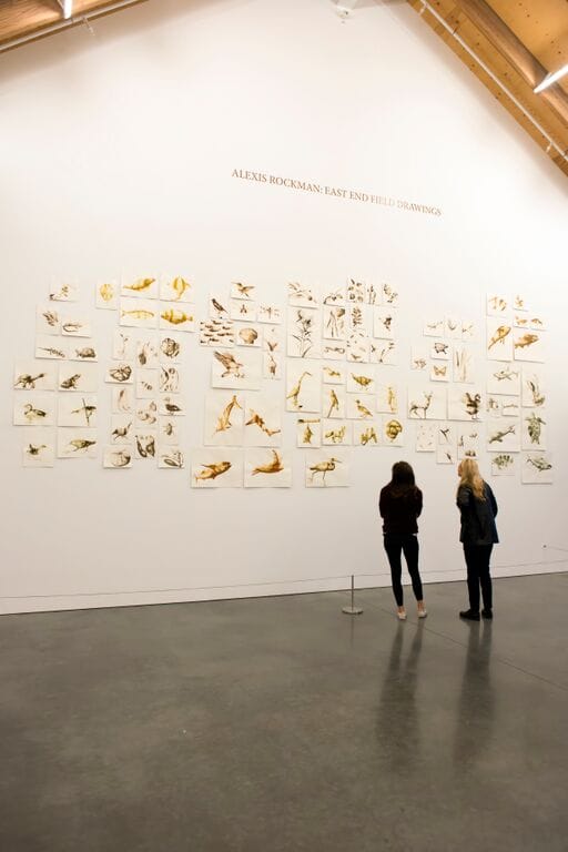 AlexisRockman_InstallationView