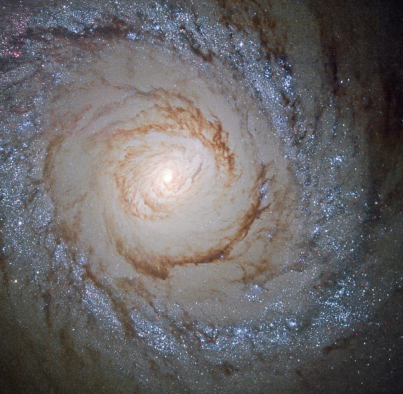 This image shows the galaxy Messier 94, which lies in the small northern constellation of the Hunting Dogs, about 16 million light-years away. Within the bright ring around Messier 94 new stars are forming at a high rate and many young, bright stars are present within it – thanks to this, this feature is called a starburst ring. The cause of this peculiarly shaped star-forming region is likely a pressure wave going outwards from the galactic centre, compressing the gas and dust in the outer region. The compression of material means the gas starts to collapse into denser clouds. Inside these dense clouds, gravity pulls the gas and dust together until temperature and pressure are high enough for stars to be born. (via Digg)