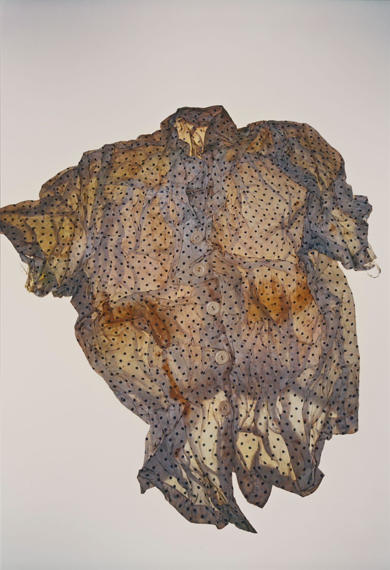 Ishiuchi Miyako, “Hiroshima #69 (Hatsuko Abe)” (2007) (courtesy the artist)