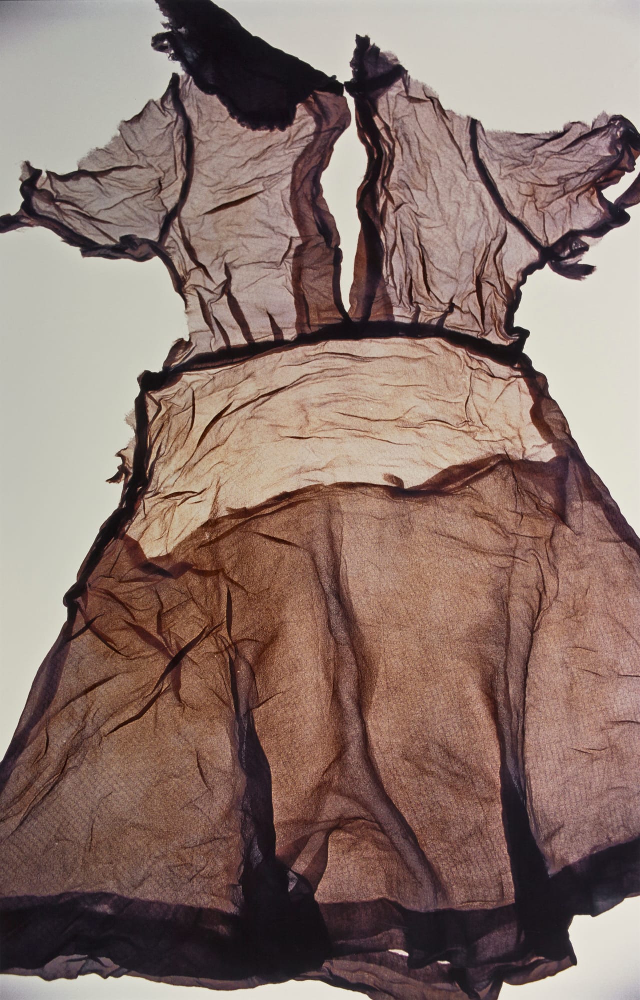 Ishiuchi Miyako, “Hiroshima #9 (Ritsu Ogawa)” (2007) (courtesy the artist)