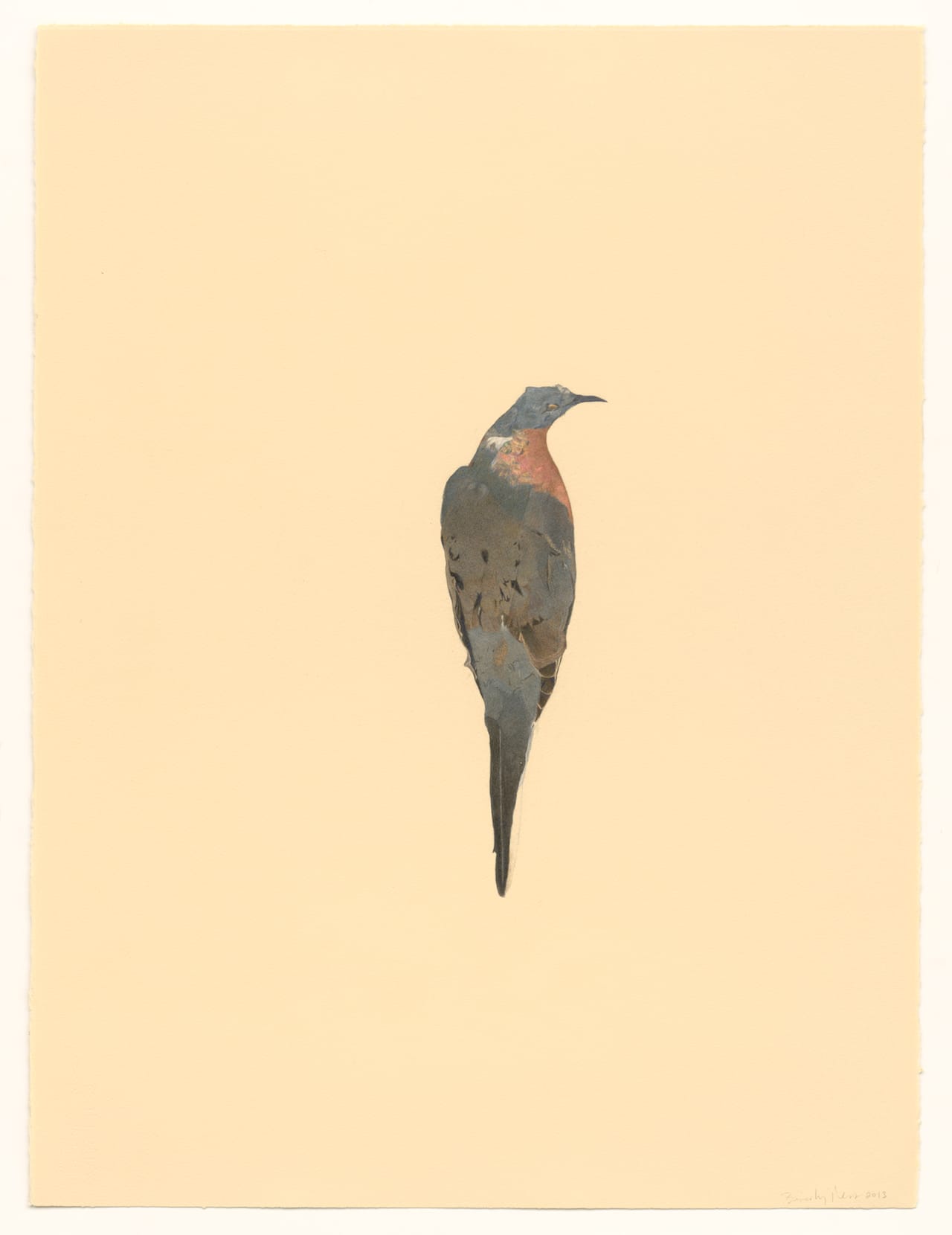 Passenger Pigeon