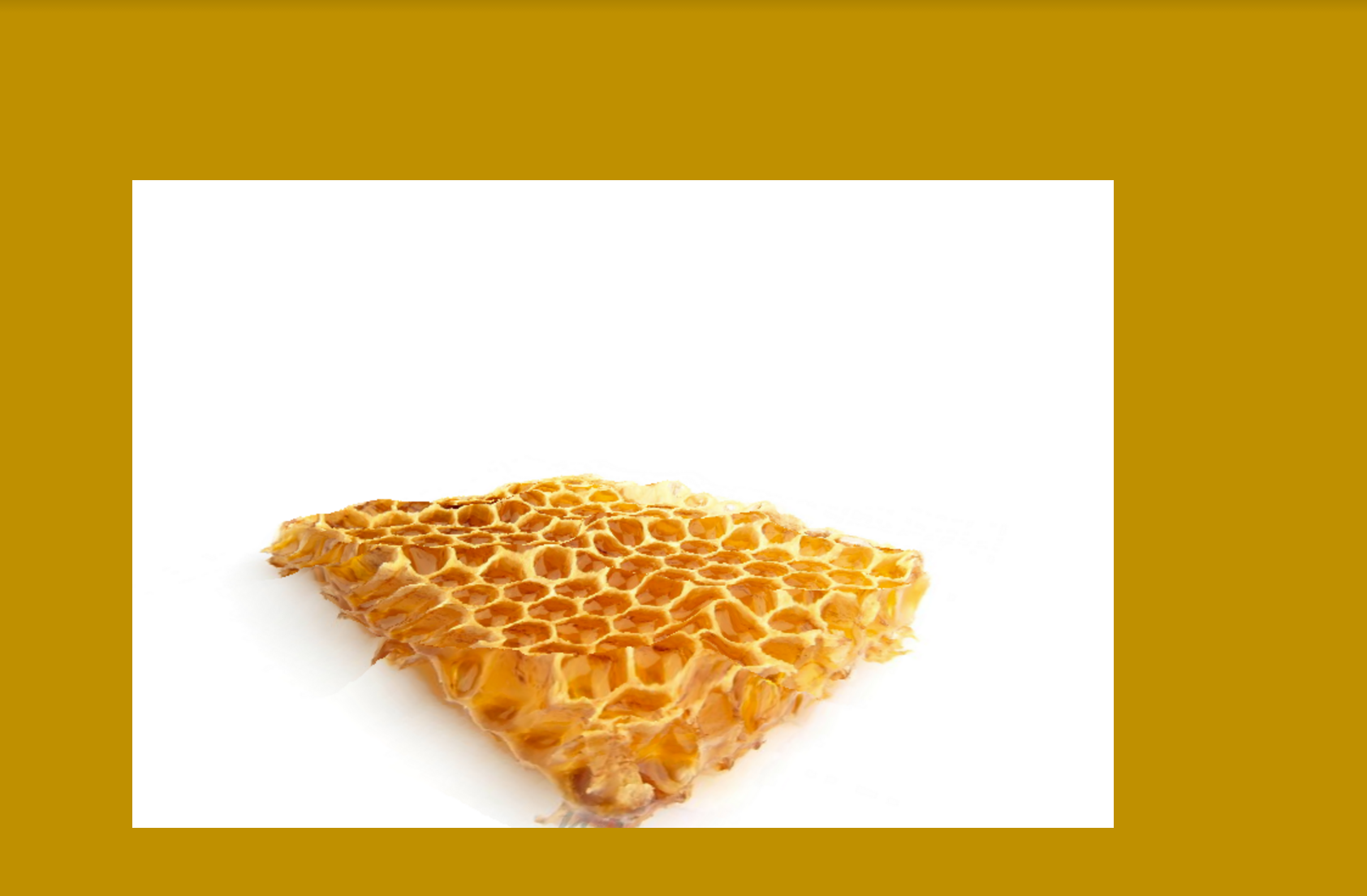 Screen Shot 2015-11-25 at 3.11.20 PM