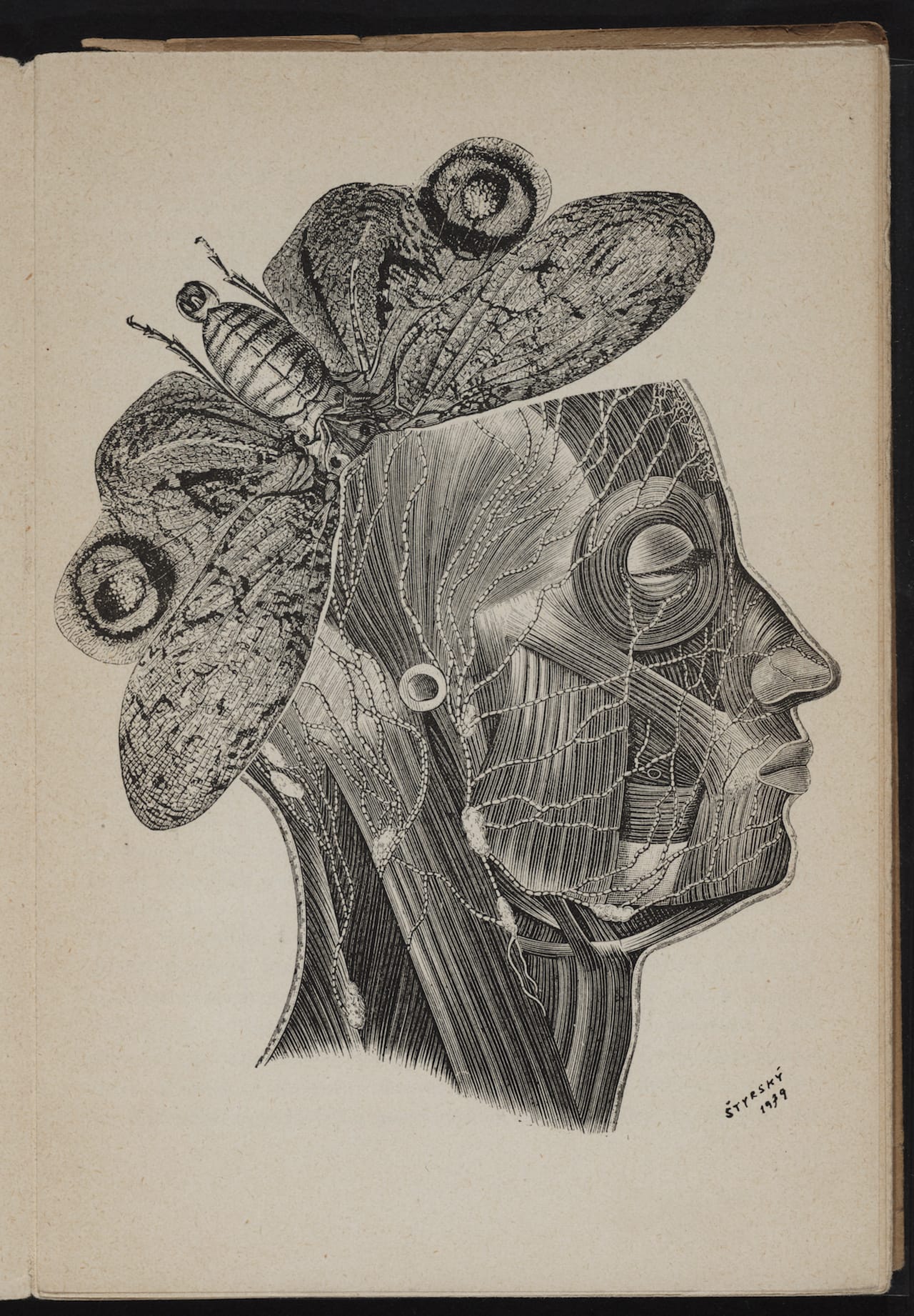 Jindřich Štyrský, illustration for "Zastřený profil" (1940) by Miloš Marten
