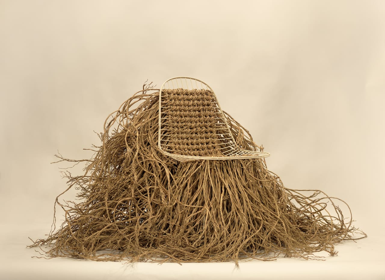 16.Wild Wire by EdouardFrancois ©EdouardFrancois