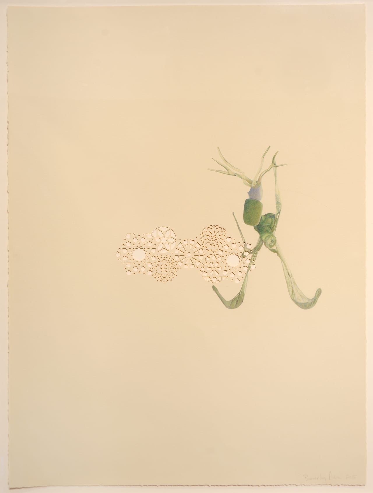 Beverly Ress, "Course" (2015), colored pencil on paper, laser cut (photo by Greg Staley)