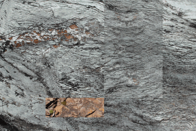 David Wicks, "Push Pull"