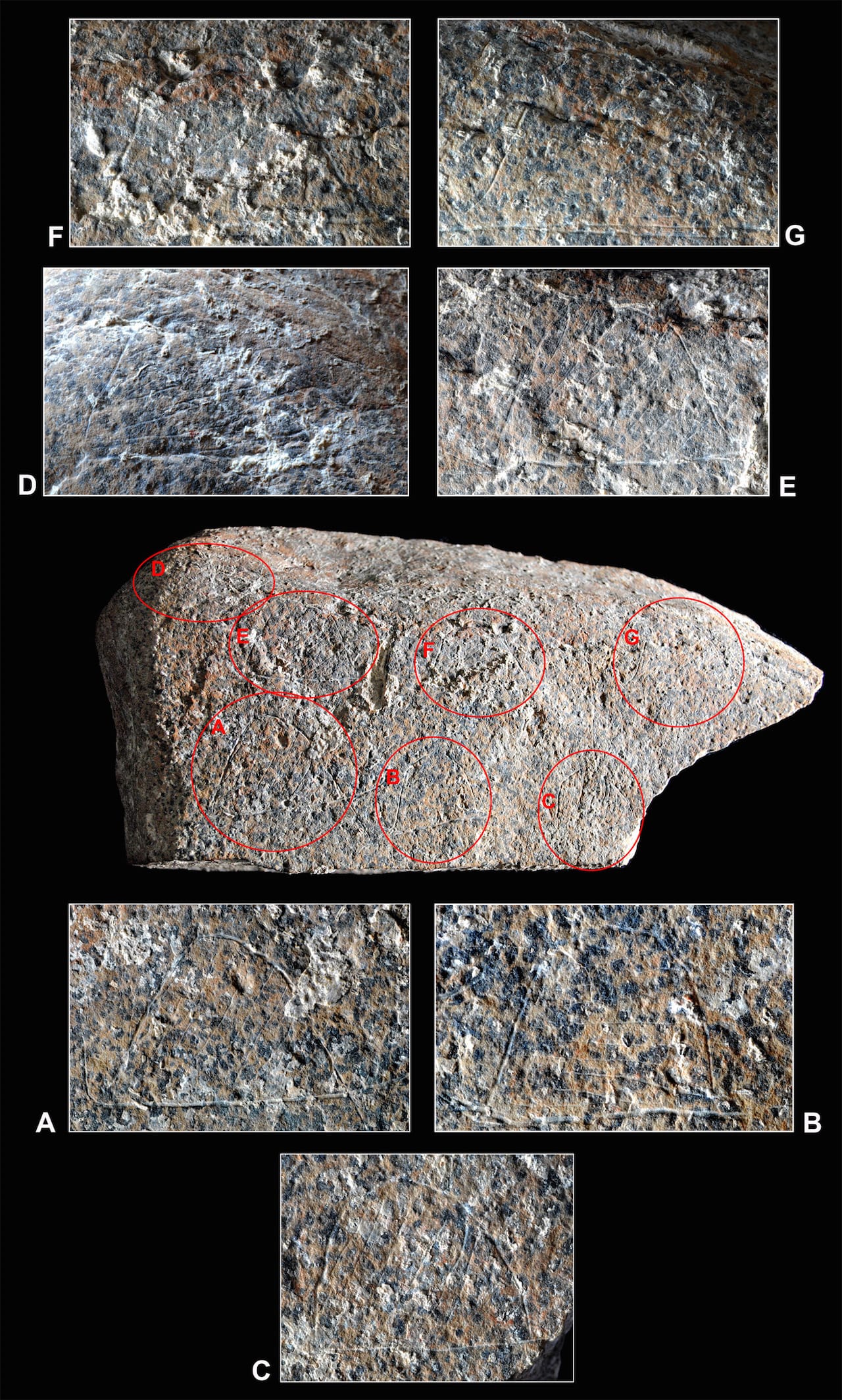 Photograph of the engraved side with close-ups of the seven semicircular motifs.