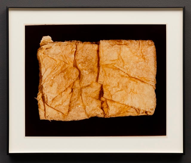 Hollis Frampton, "II. JELLY (Physalia physalis)," Ektacolor photograph (1982)