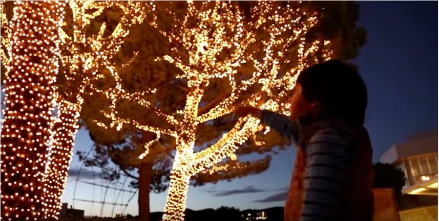 Holiday Lights at the Getty (via youtube)