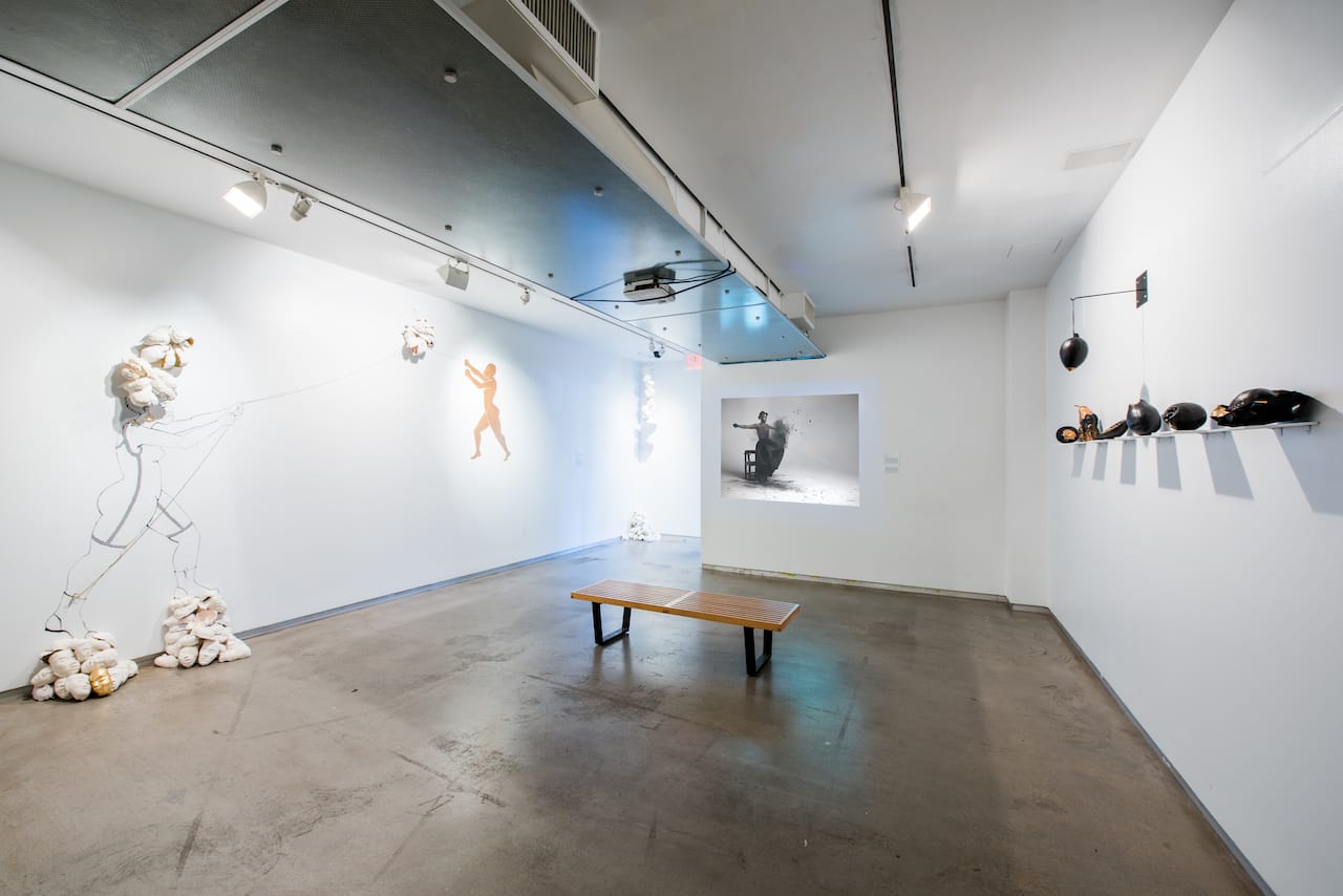 Installation view of 'Dis place' (photo courtesy MoCADA)