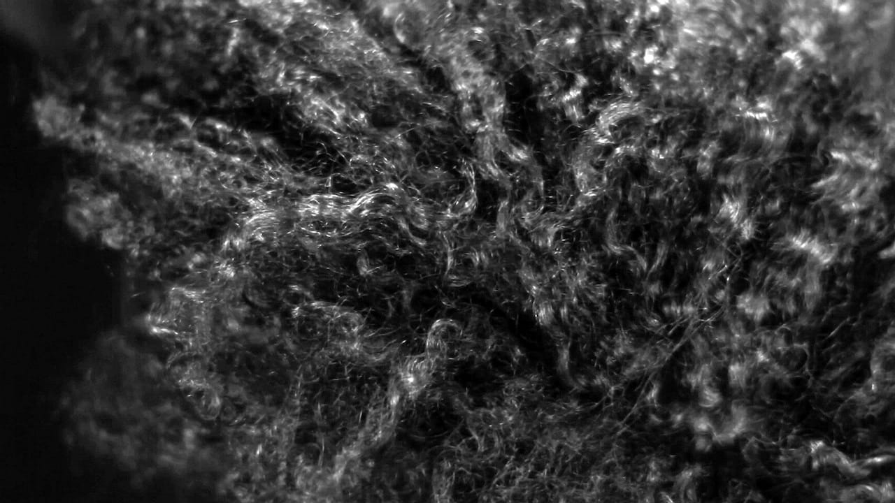 Lorraine O'Grady, "Landscape (Western Hemisphere)" (still, 2010/2011), single-channel video for projection, 18 min (image courtesy Alexander Gray Associates, New York)