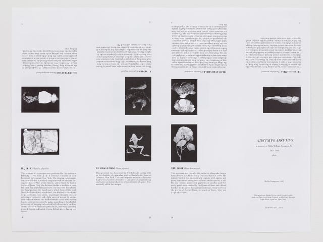 Poster for HOLLIS FRAMPTON ADSVMVS ABSVMVS, ROOM EAST, New York, 2015. Courtesy of the Estate of Hollis Frampton and ROOM EAST i