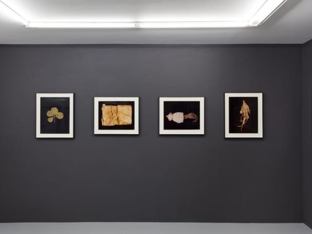 Installation view, upper level (Image courtesy of ROOM EAST and Estate of Hollis Frampton)