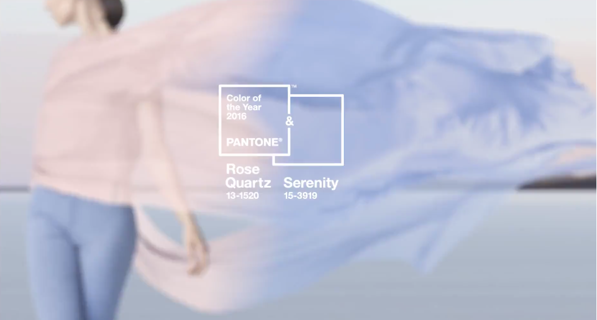 Screen Shot 2015-12-06 at 12.55.31 PM