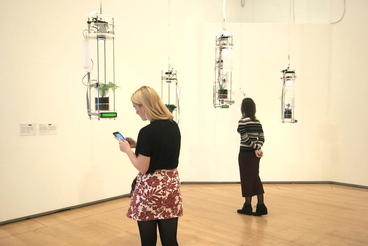 Stephanie_Rothenberg_Planthropy_3