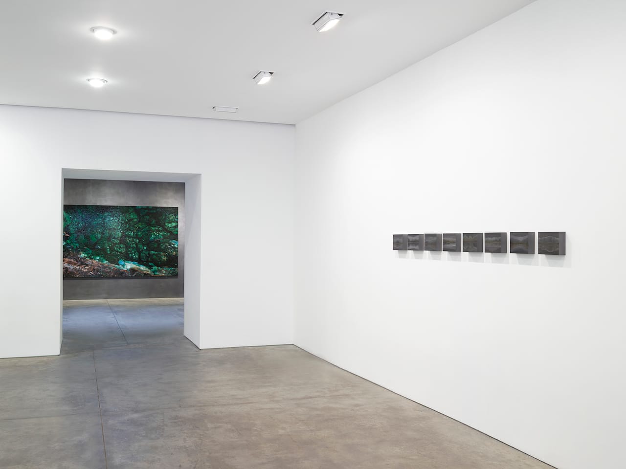 Teresita Fernández, installation view (courtesy the artist and Lehmann Maupin, New York and Hong Kong)