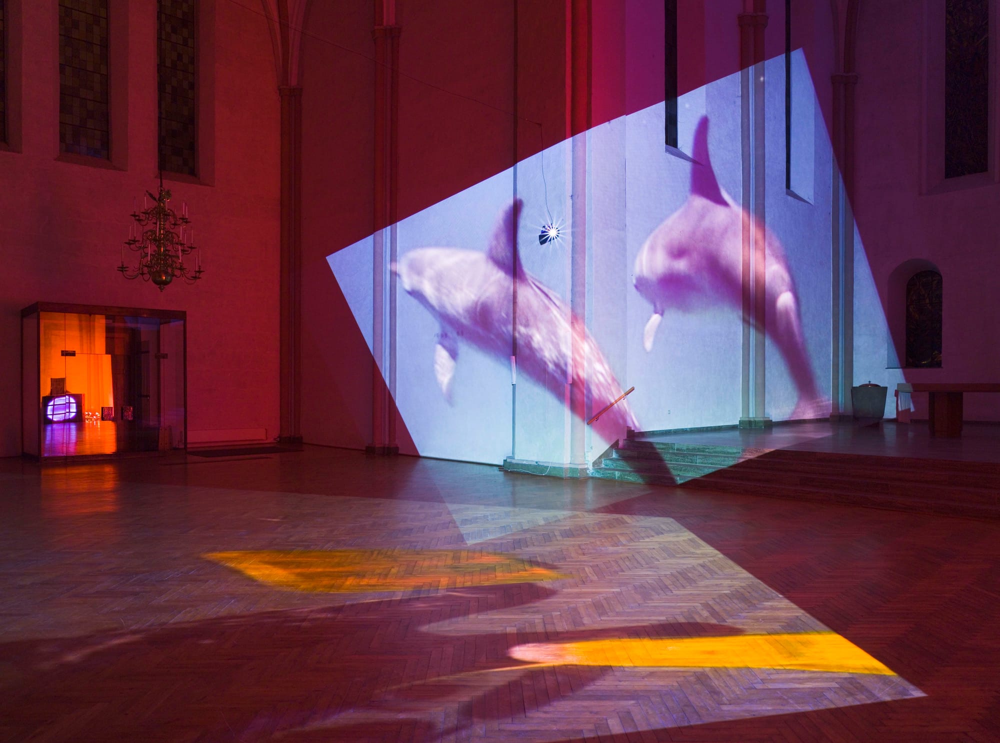 Diana Thater, "Delphine" (1999), installation view at Kulturkirche St. Stephani, Bremen, Germany (photo courtesy Diane Thater and Roman Mensing/artdoc.de)