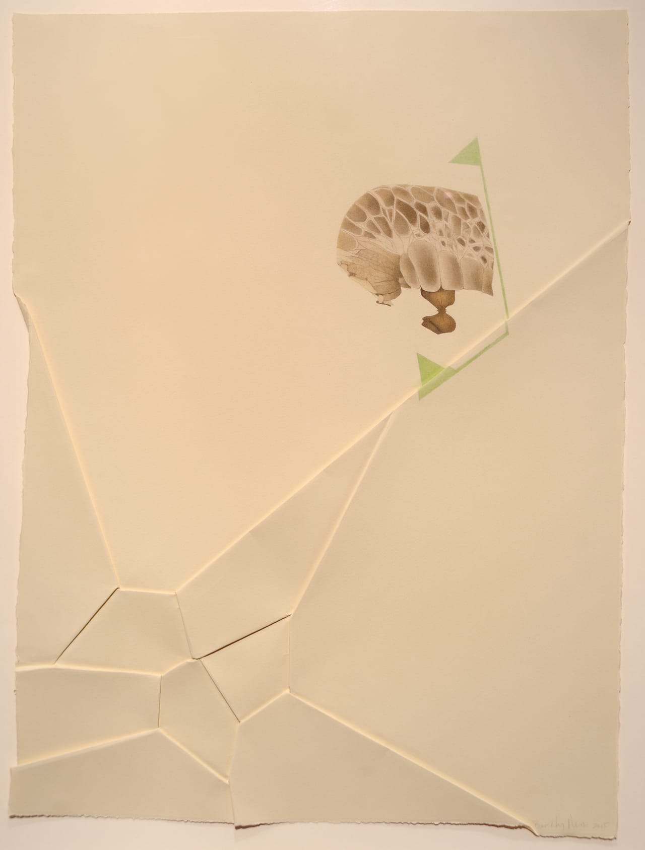 Beverly Ress, "Voronoi" (2015), colored pencil on paper, folded (photo by Greg Staley)