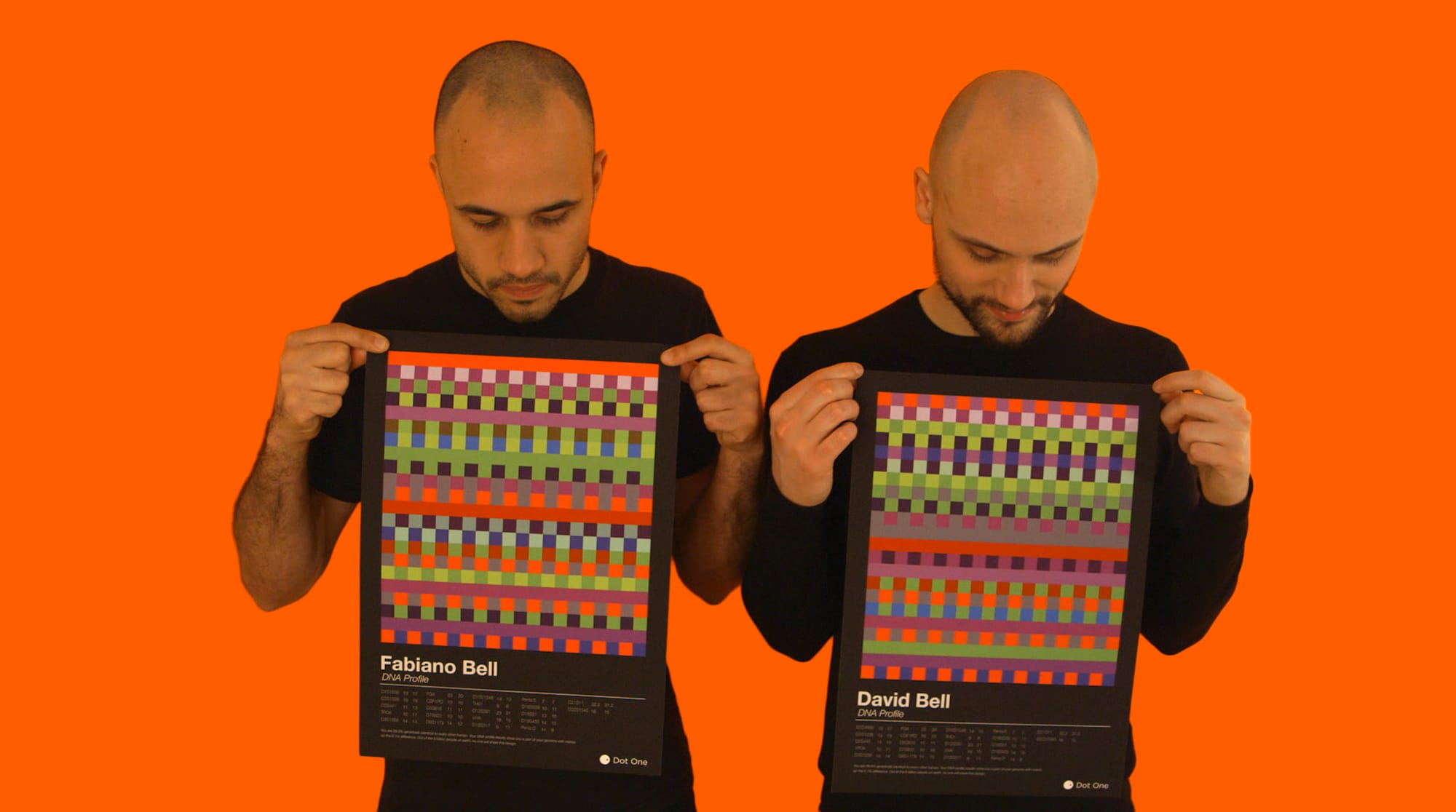 brothers_78%_shared DNA profile data