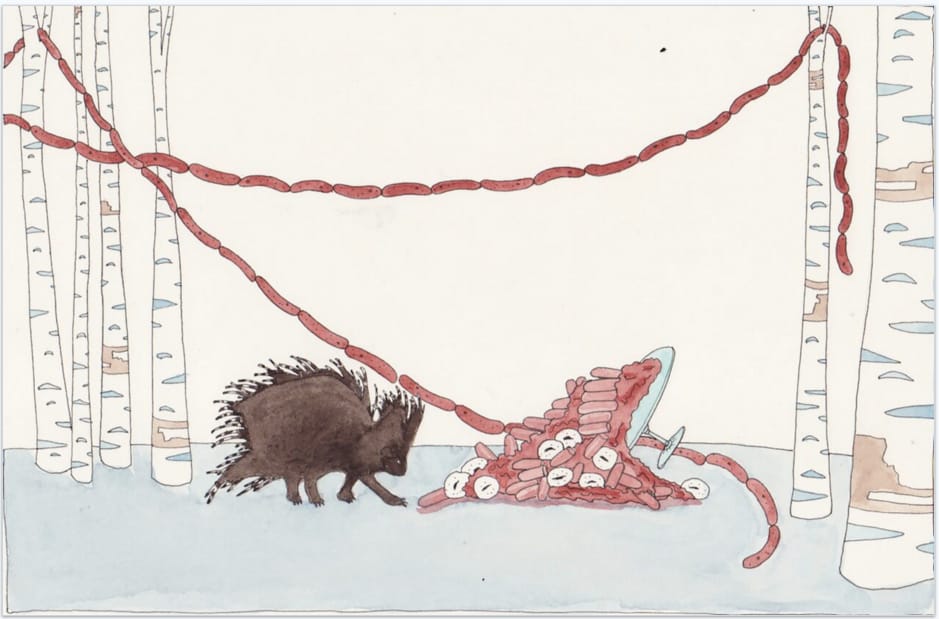 Dana Sherwood at Denny Gallery