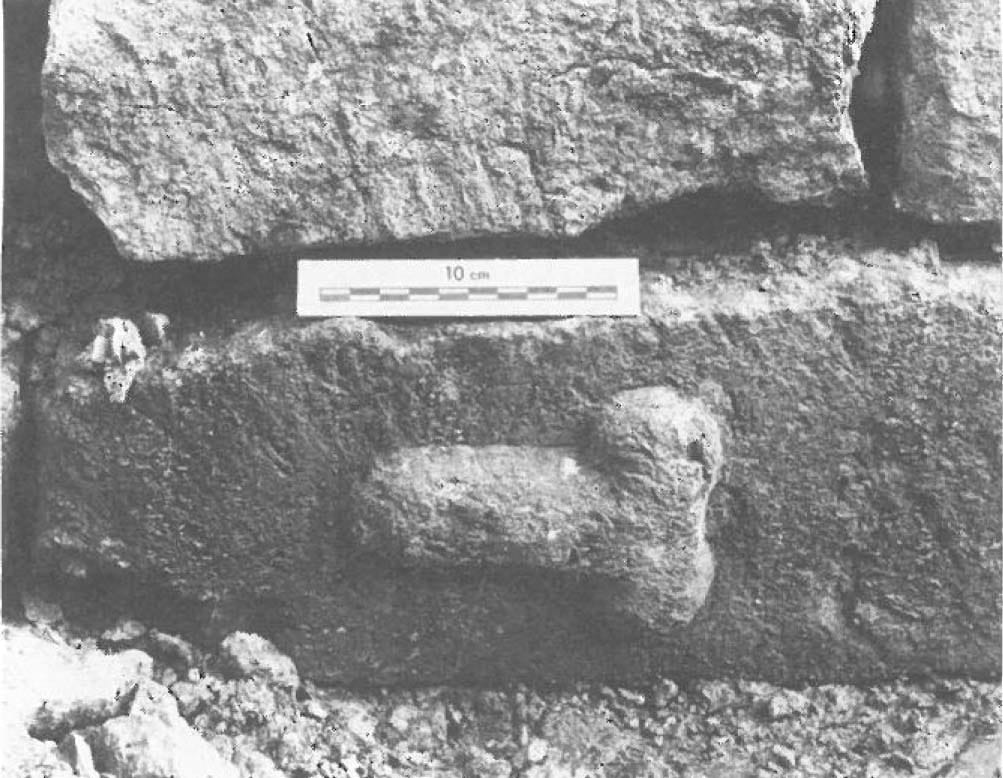 East Bight phallic carving