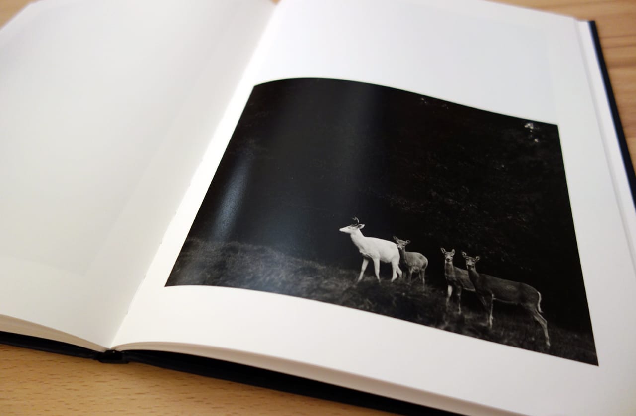 Pages of 'George Shiras: In the Heart of the Dark Night' (photo of the book for Hyperallergic)