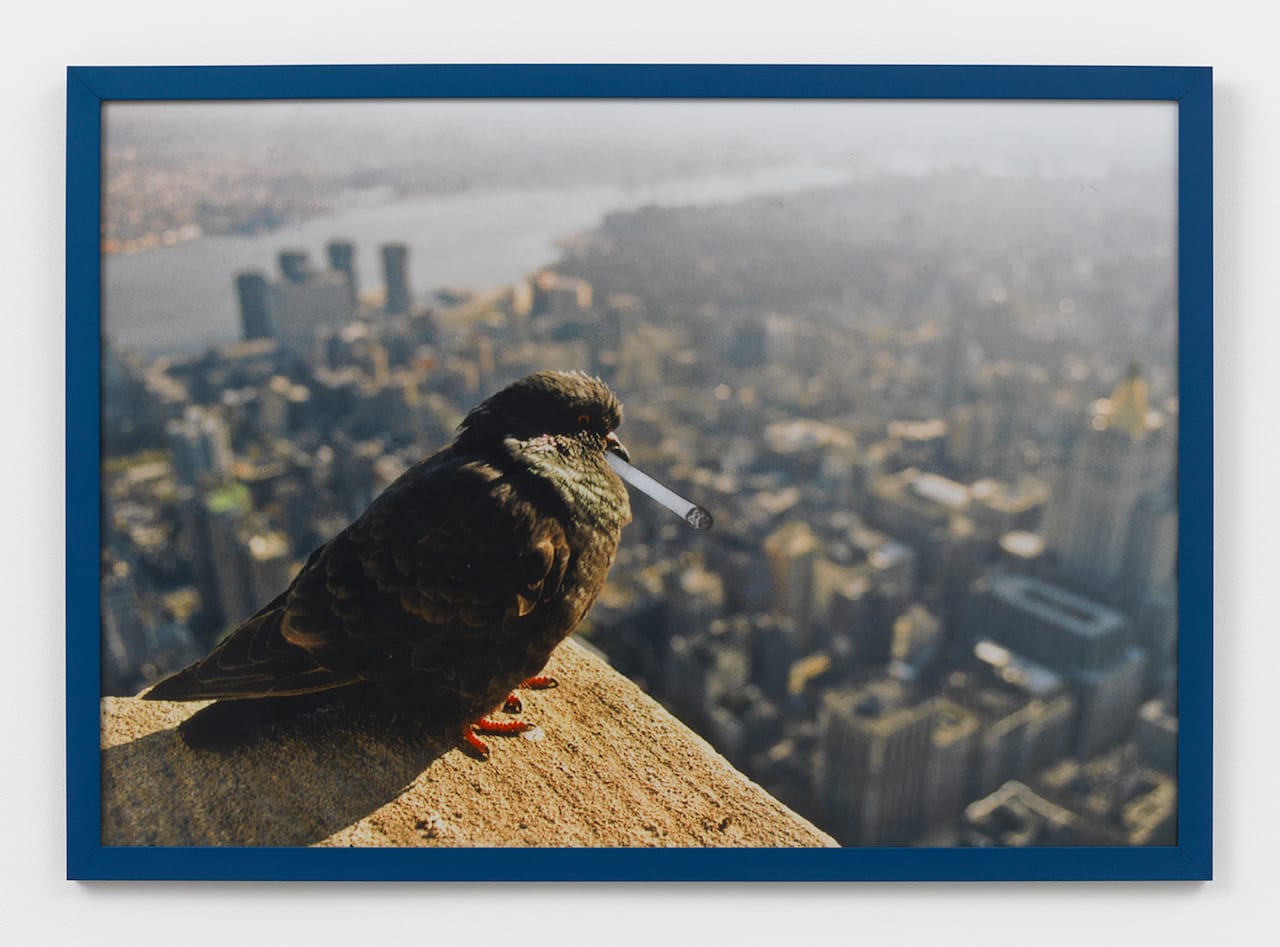 Lizzi Bougatsos, Working Class Bird" (2016), inkjet digital print on paper, 27 x 38 x 1 in