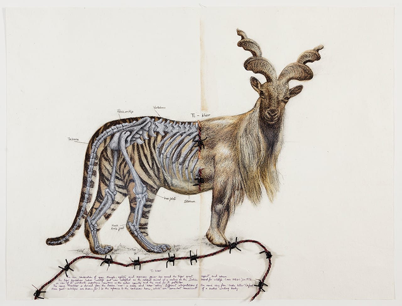 Reena Saini Kallat, "Hyphenated Lives (Ti-khor)" (2015), gouache, charcoal, ink, and electric wire on handmade paper