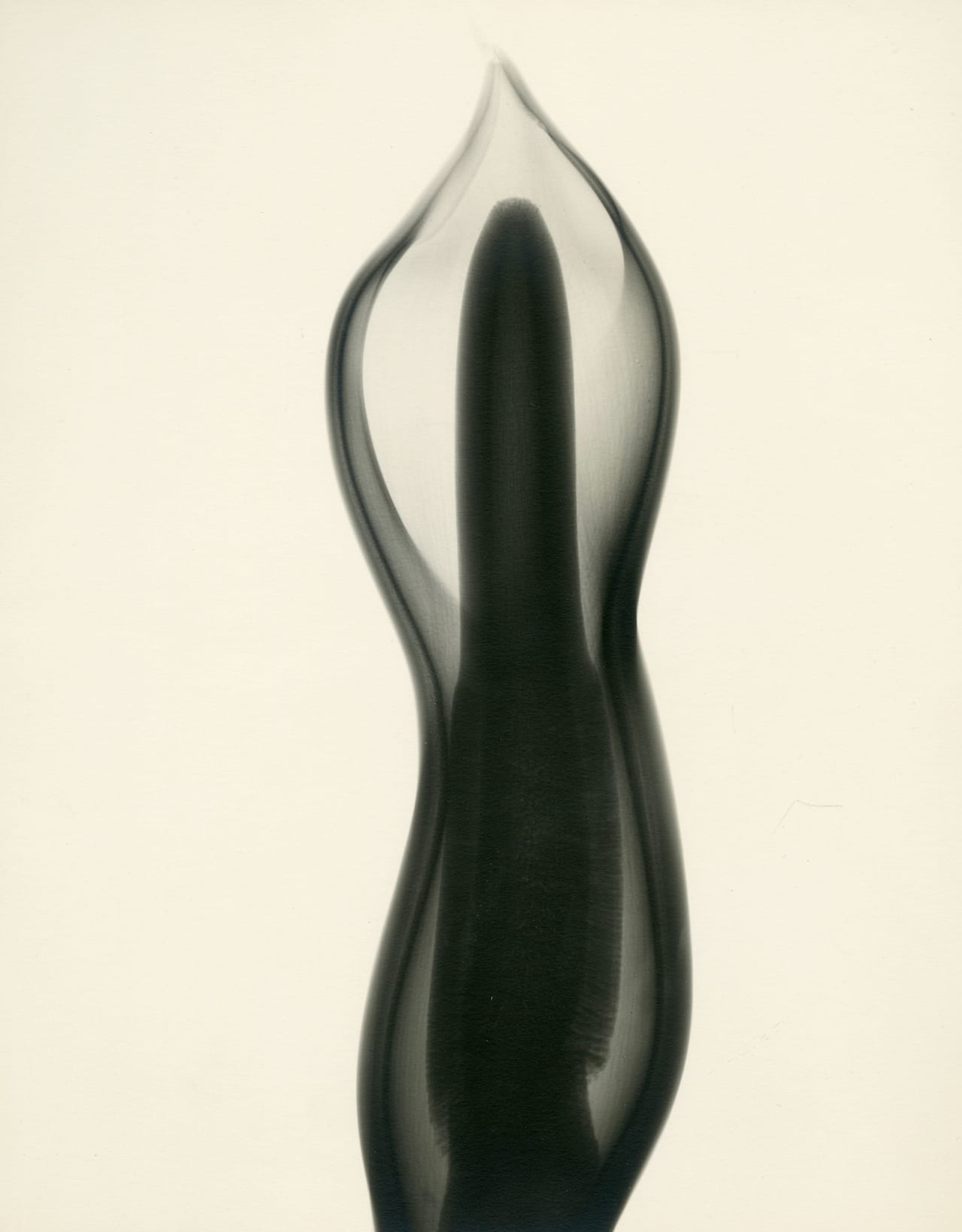 Tasker, Philodendron, 1938