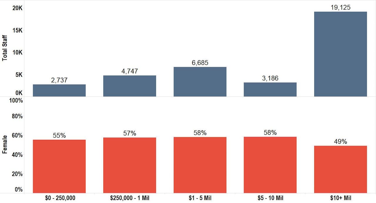 Total Staff by Race/Ethnicity Separated by Level of Seniority