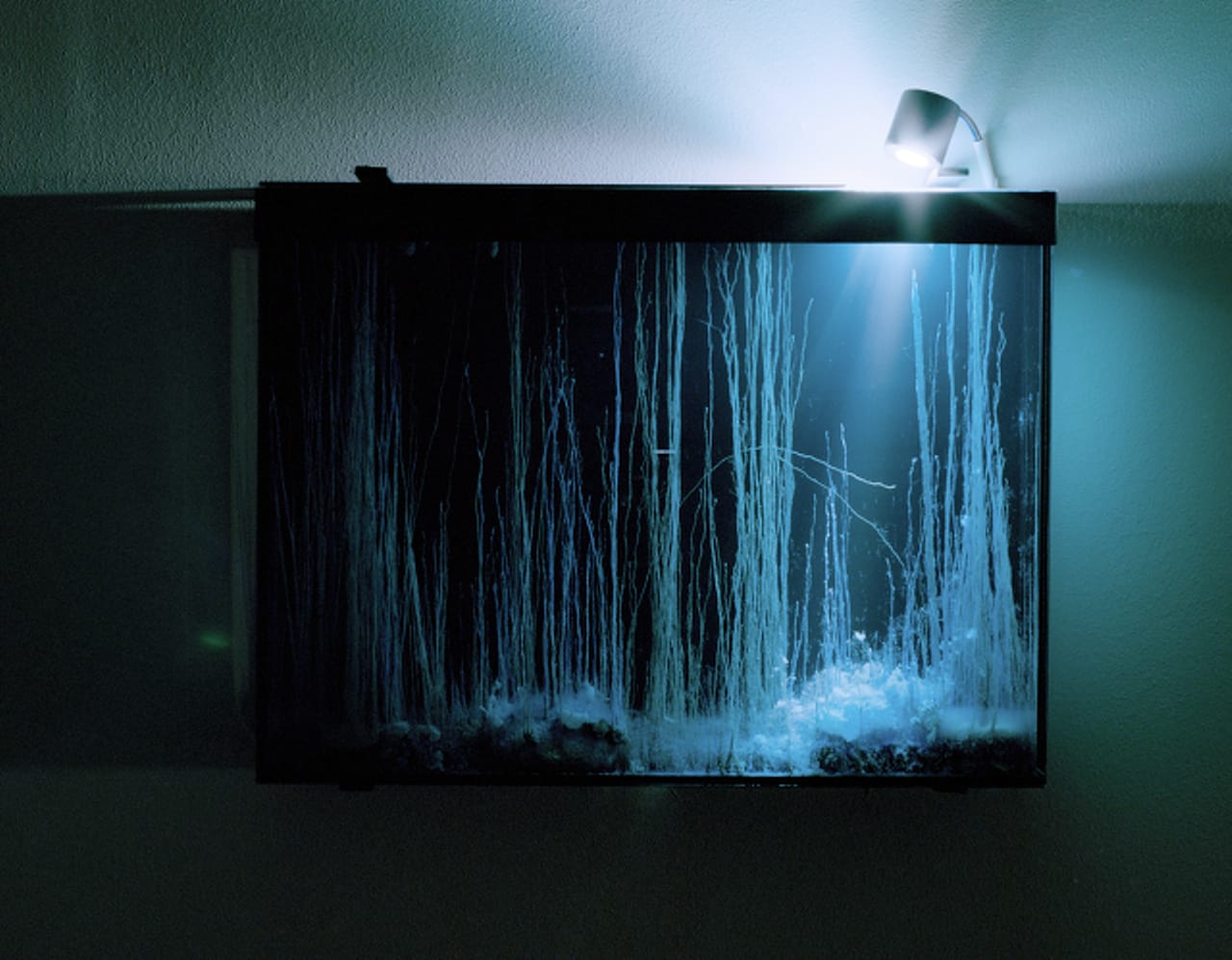 Hicham Berrada, “Présage” (2013) (courtesy galerie Kamel Mennour)