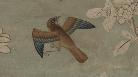 Birds from Audubon's 'Birds of America' on the walls of the Chinese Drawing Room (GIF by the author, via YouTube)